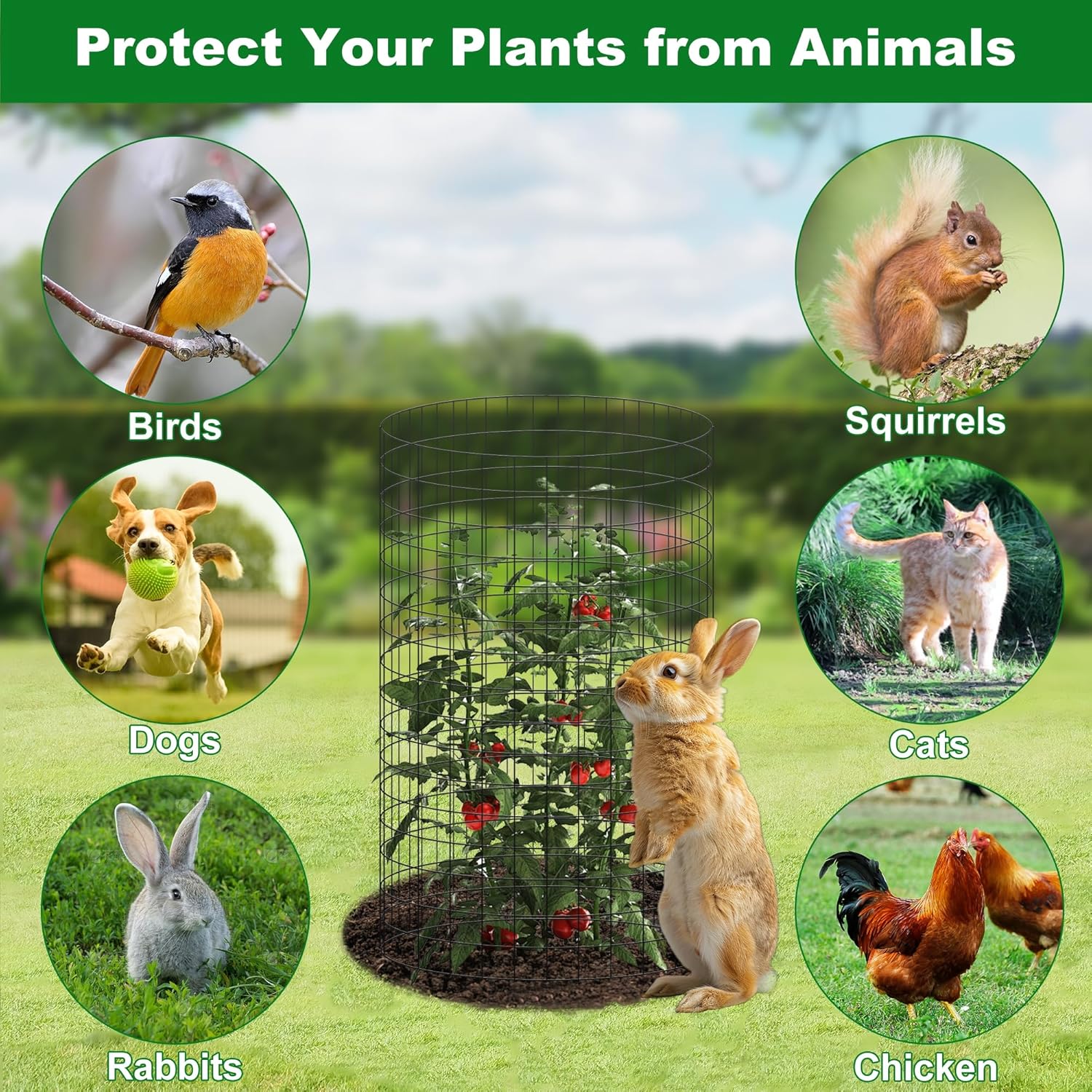 winemana 12 Set Garden Plant Protector Cage, 16x12 in Metal Wire Protectors for Plants, Protection Cages with Stakes & Ties, Animals Barrier to Keep Rabbit & Chicken Away from Flower Vegetables(Black)