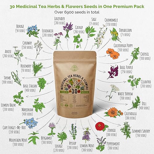 Miniatura 2 de Paquete variado de 30 semillas de hierbas y flores de té medicinales para plantar en interiores y exteriores. Más de 6900 semillas de jardín de
