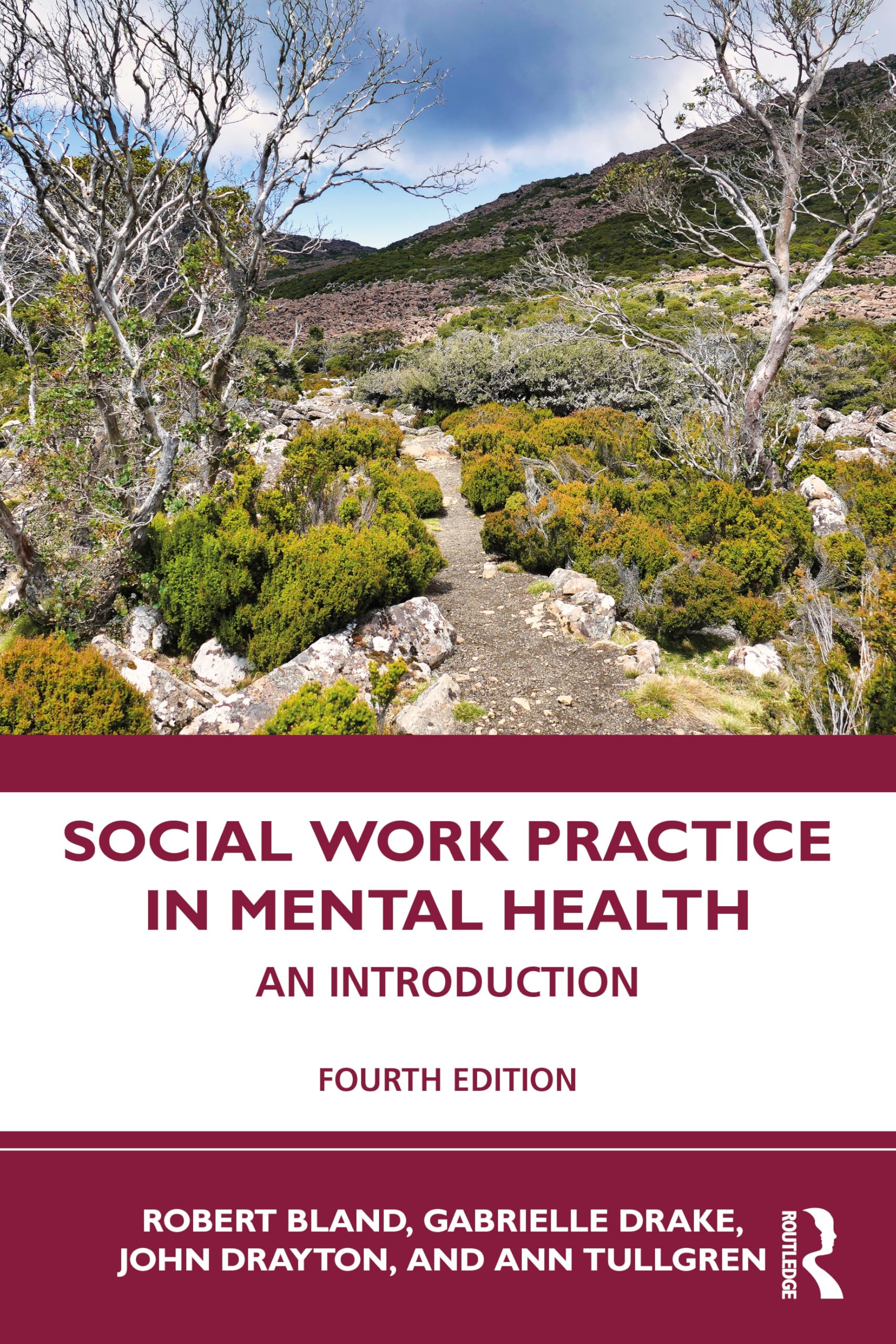 Social Work Practice in Mental Health: An Introduction
