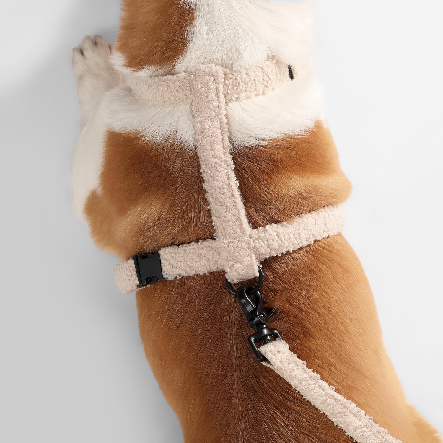 WLK1002A-4SET Teddy Medium Bouclé Adjustable H Harness and Leash Walk Set with Poop Bag Pouch, Camel