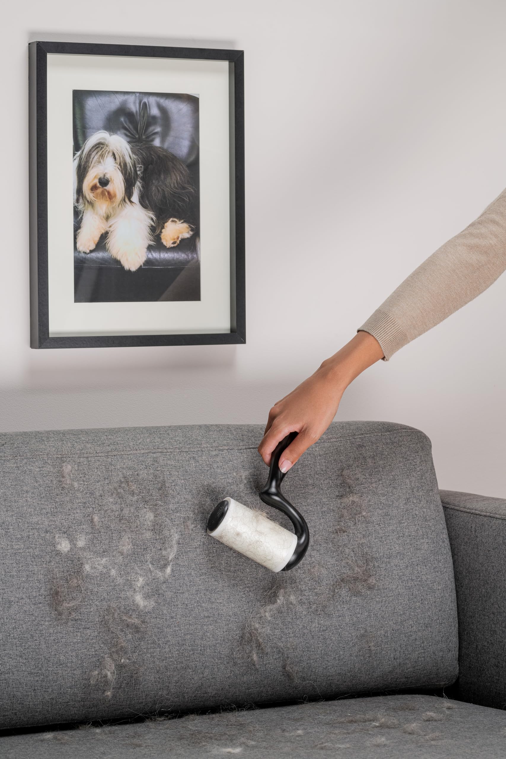 Scotch-Brite Rullo Levapelucchi Extra Adesivo per Animali, Grandi Superfici + 4 Ricariche (48 Fogli per Rullo)