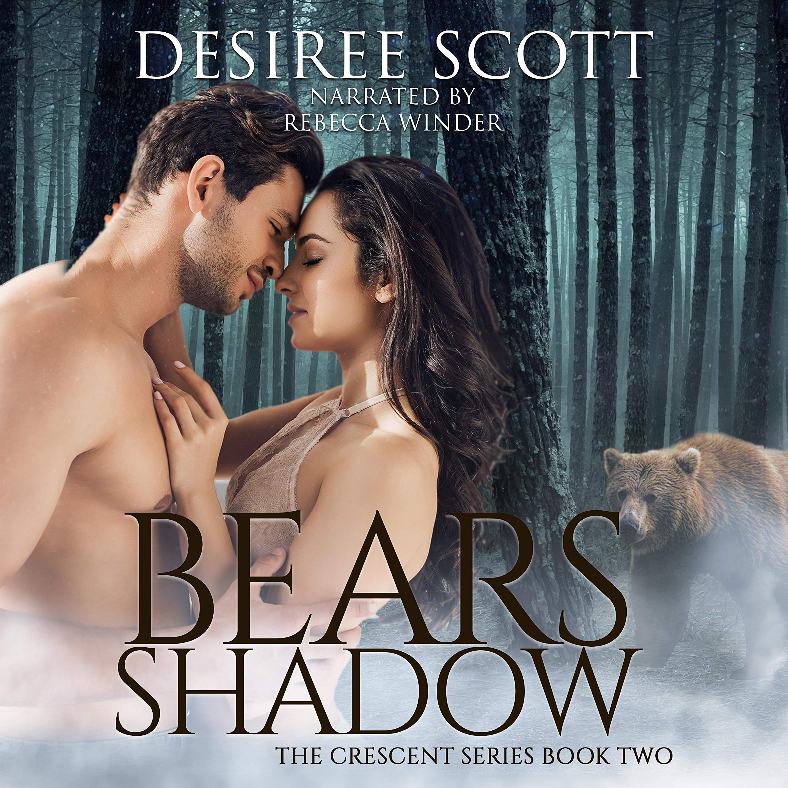 Cover art for Bear's Shadow