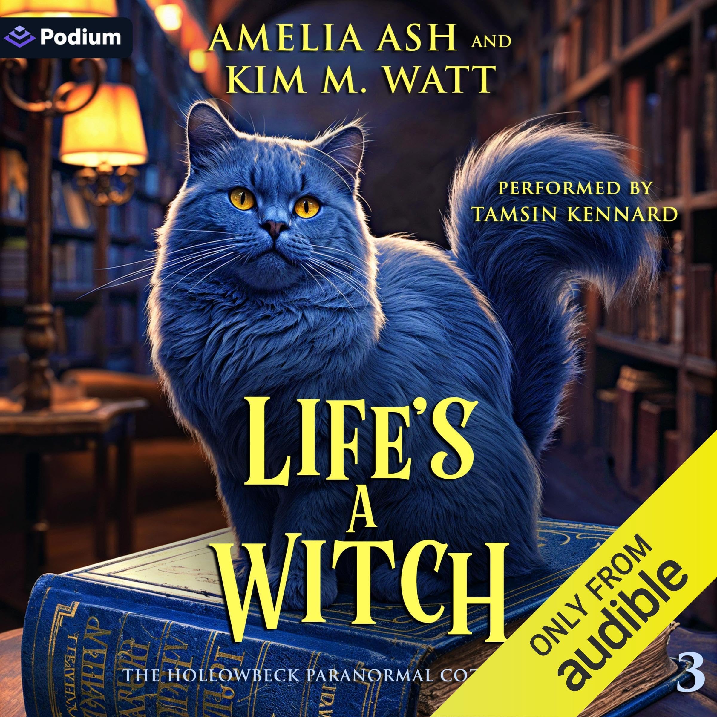 Cover art for Life's a Witch