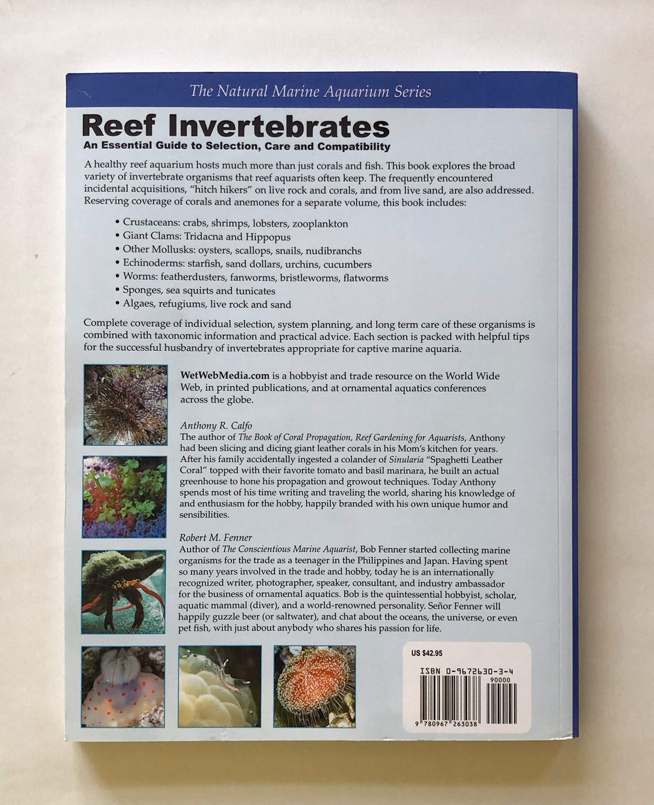 Reef Invertebrates: An Essential Guide to Selection, Care and Compatibility - Image 2