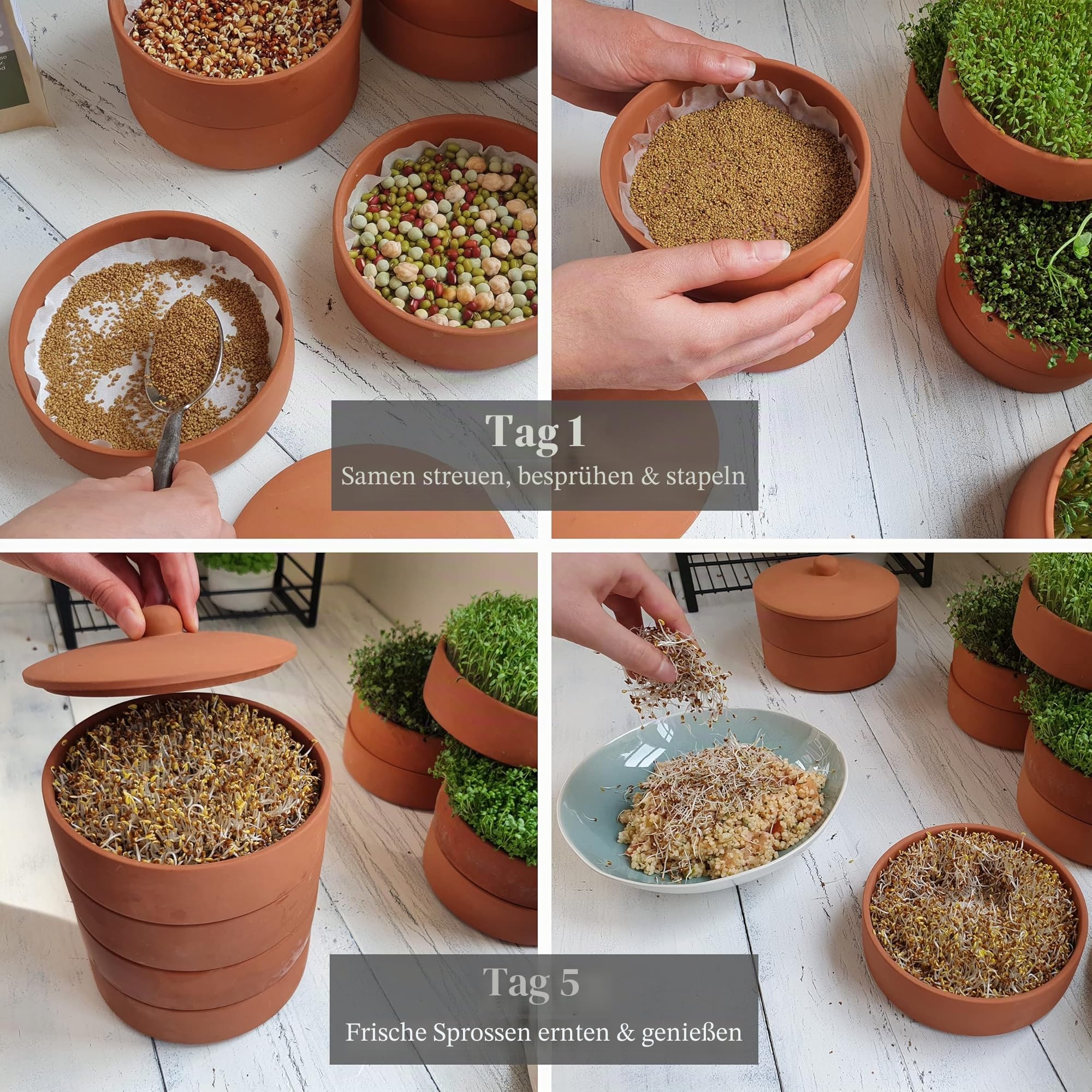 Tonsaatset | 3-teilige Terrakotta-Turm-Papierscheiben und E-Book | 2-in-1-Keimschalen ideal zum Keimen von Sprossen und Microgreens