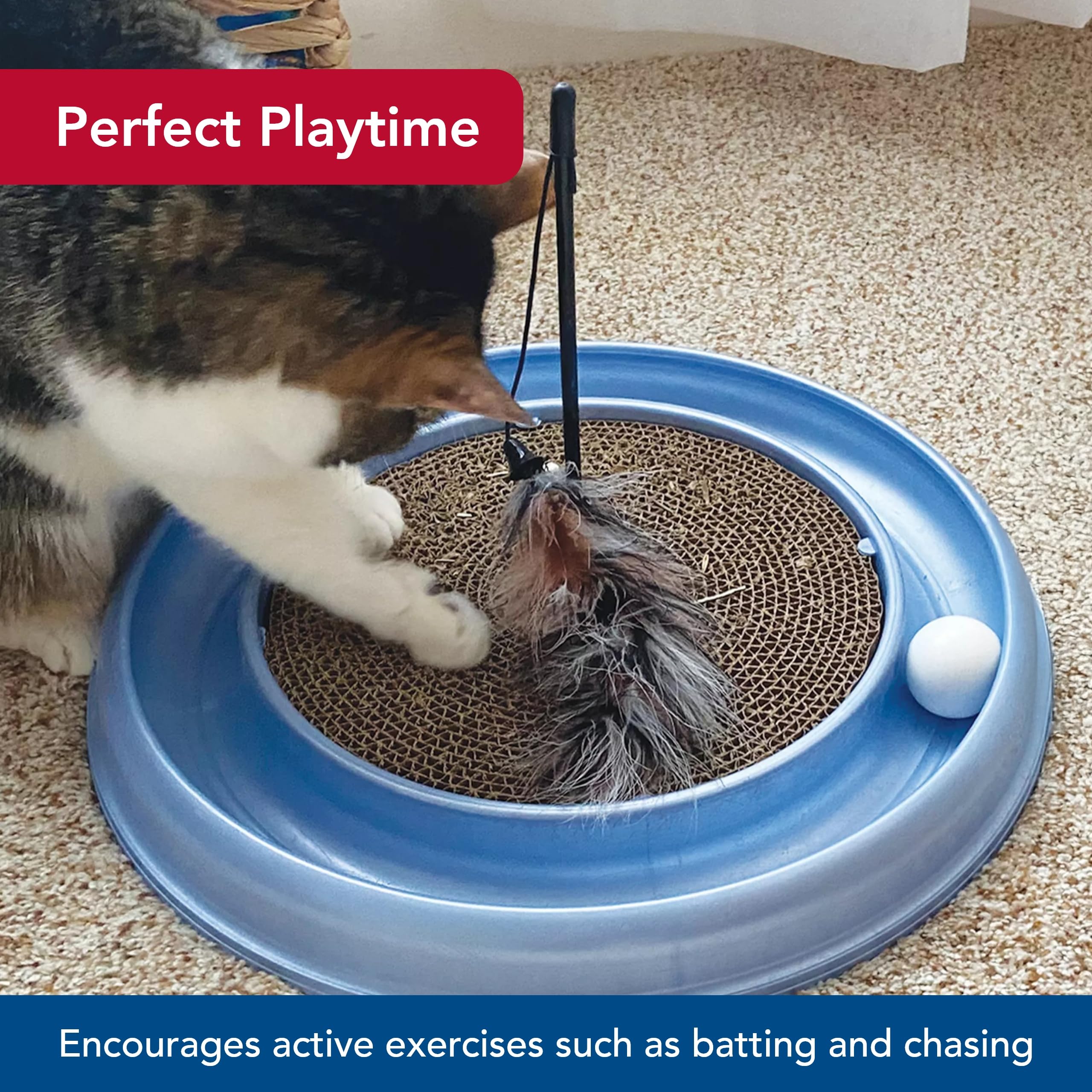 amazon australia cat toys Dementia Cat Toy
