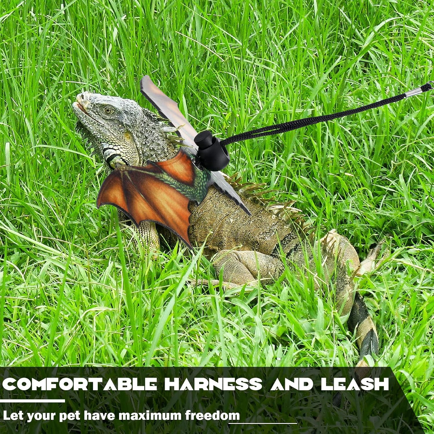 Bearded Dragon Lizard Leash Harness Removable Lizard Leash for Bearded Dragon Lizard Reptiles, Bearded Dragons Lizards Safety Outdoor Walking (S, M, L, 3 Pack) (Orange)