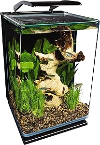 The 10 Best Betta Fish Tanks 10 911mSfa5q9L. AC SL300