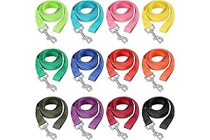 12-Count Multicolor Nylon Dog Leash Bulk
