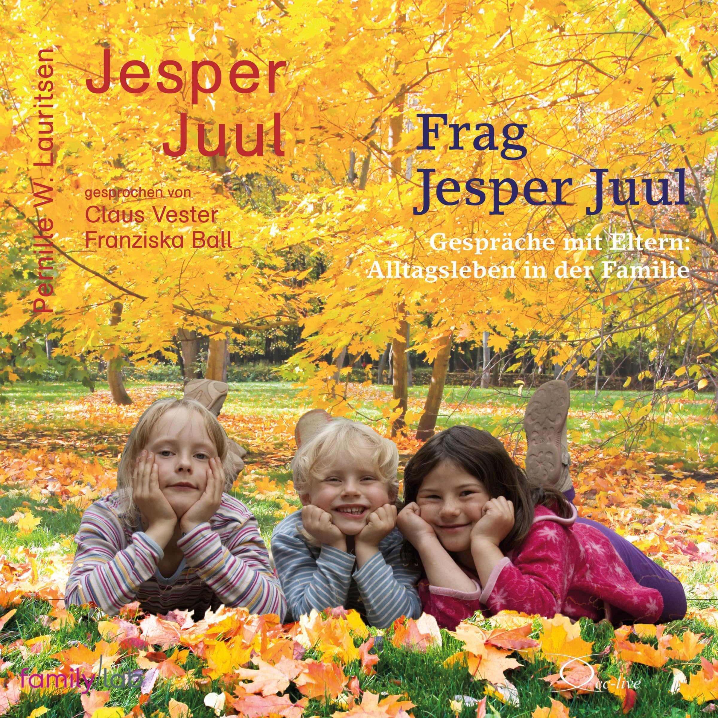 Frag Jesper Juul - Gespräche mit Eltern: Alltagsleben in der Familie