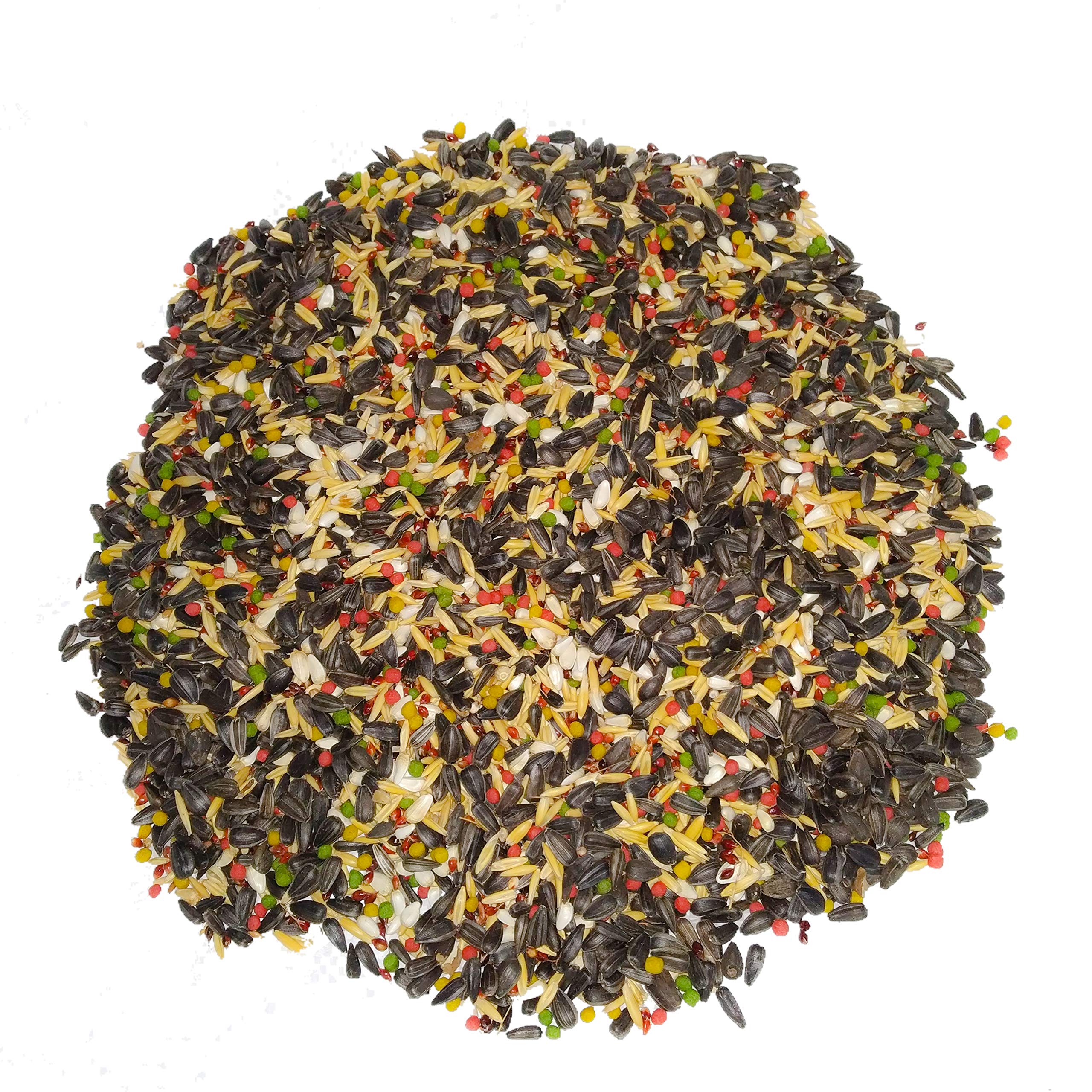 Pets Wizard - Bird Food Seed Mix for Conures Added with Fruit Pellets (450 Grams) (B08GMBCB8T) Amazon Price History, Amazon Price Tracker