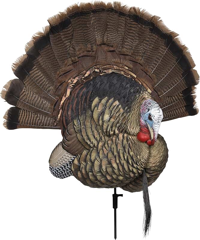 full strut turkey decoy