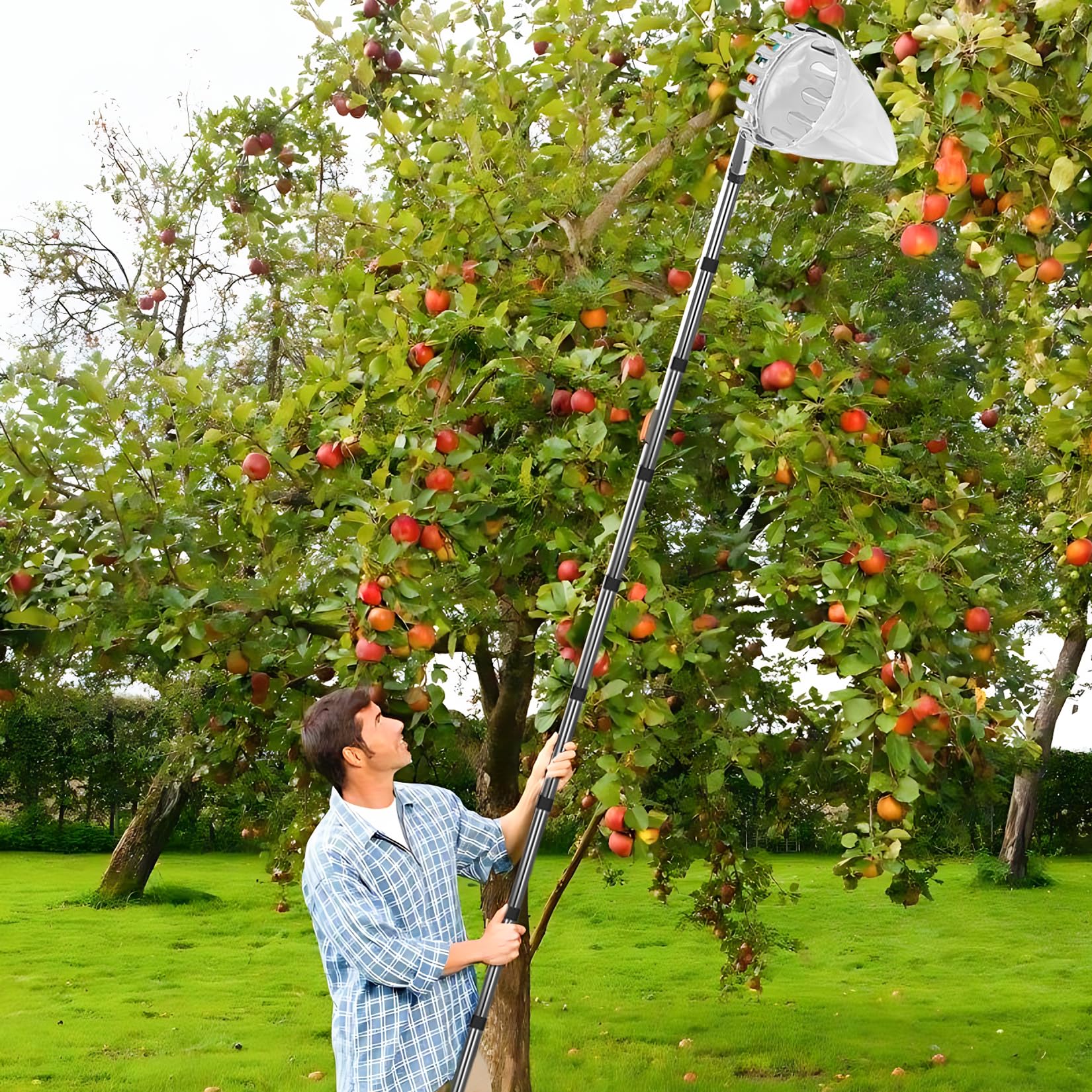Raccogli Frutta 4m Raccogli Frutta Telescopico Regolabile in Altezza Raccogli Fichi D'india, Raccogli Mele, Raccogli Fichi