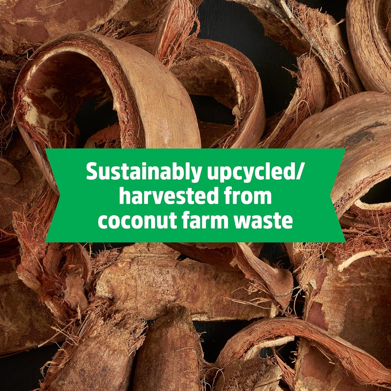 Back to The Roots Organic Seed Starting, Compressed Block expands to 12 Quarts, Made for Herbs, Veggies, Flowers - Image 6