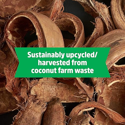 Miniatura 42 de Back to The Roots Mezcla para macetas de interior 100% orgánica (valor de 12 cuartos de galón) Promueve el crecimiento saludable de las plantas