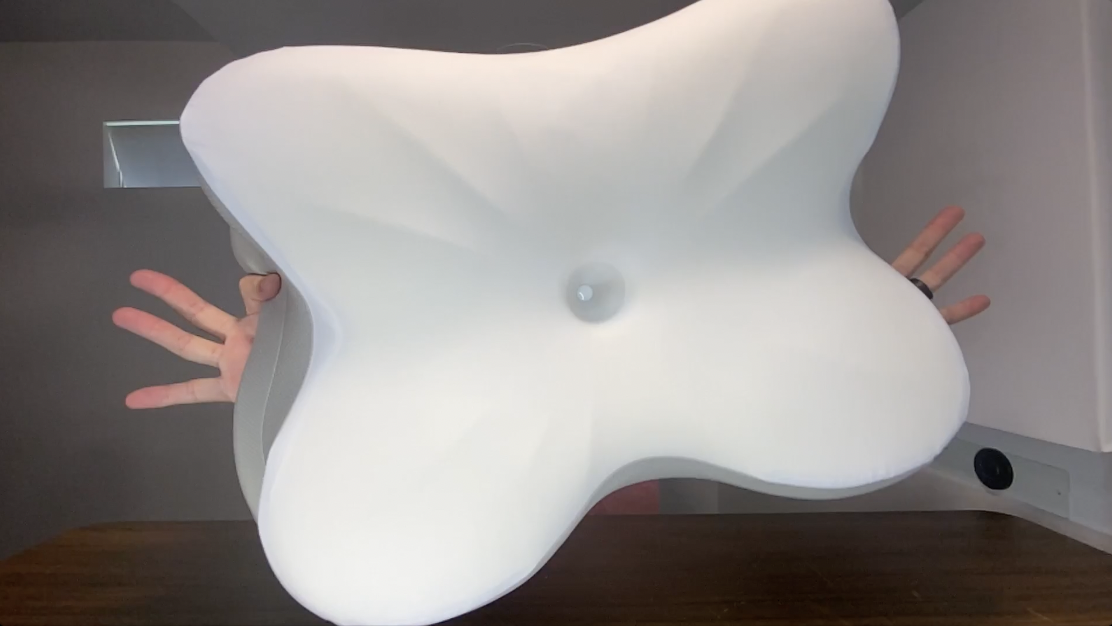 BEST Neck Pillows? | Ergonomic Cervical Neck Pillow