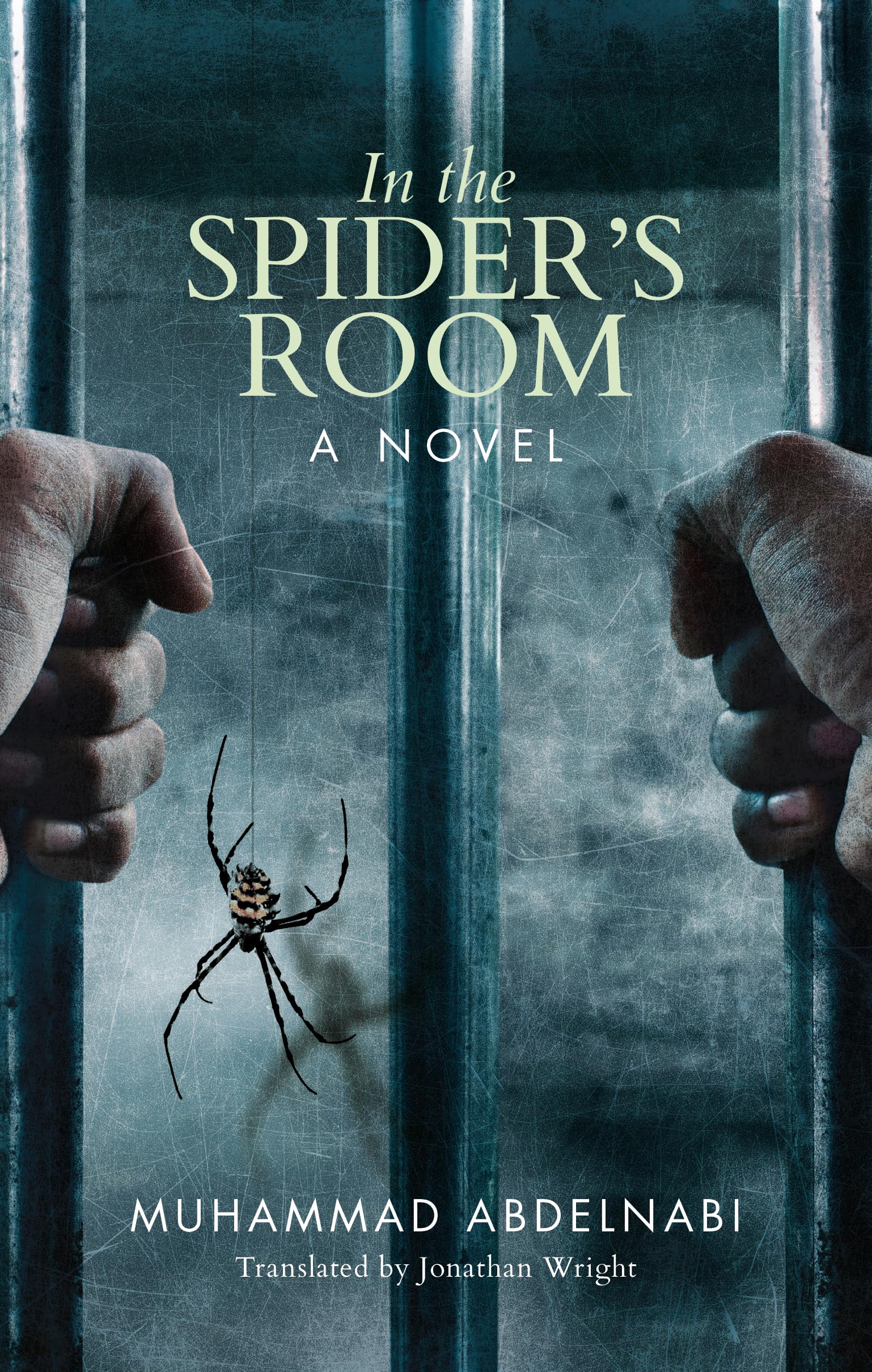 In the Spider's Room: A Novel (Hoopoe Fiction)