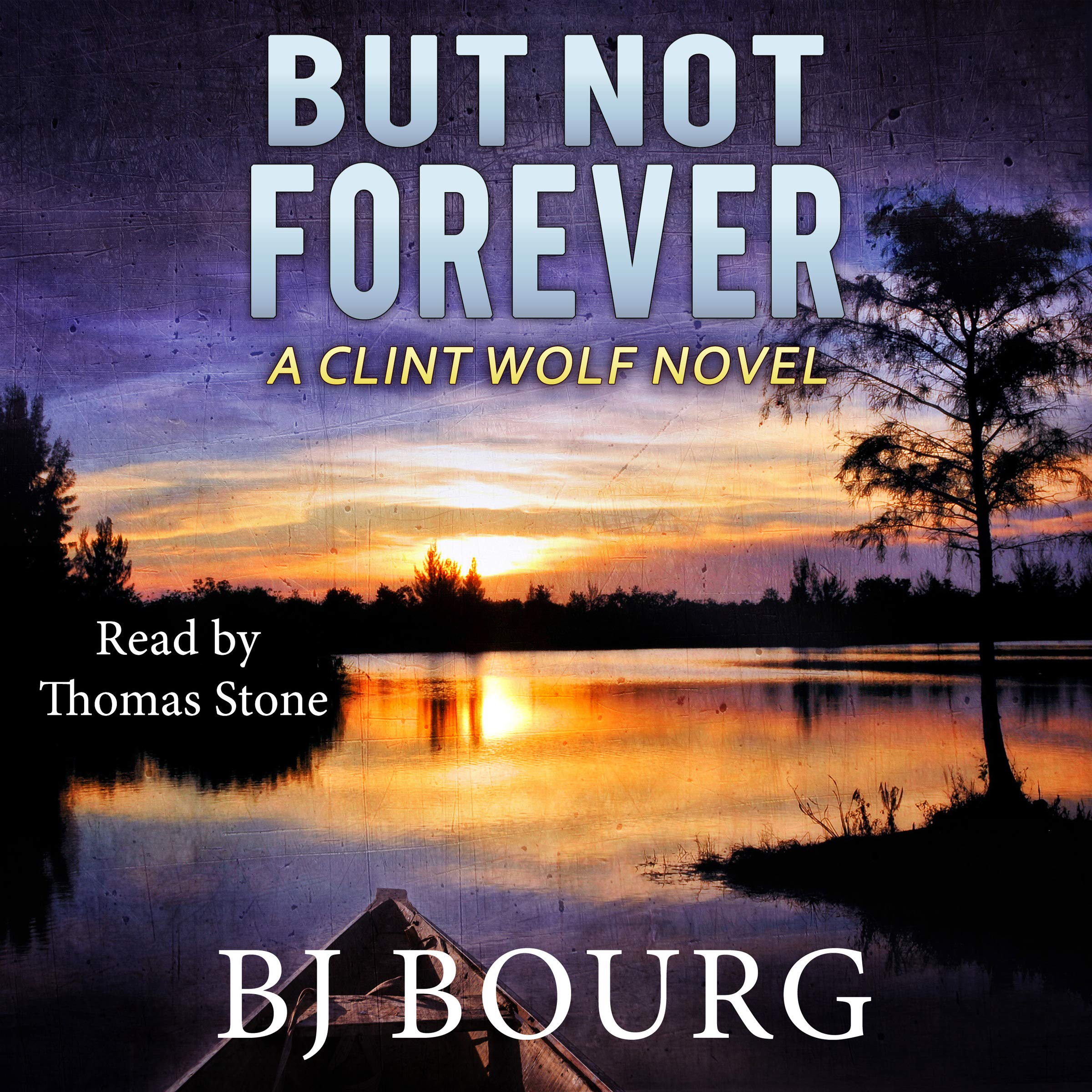Cover art for But Not Forever