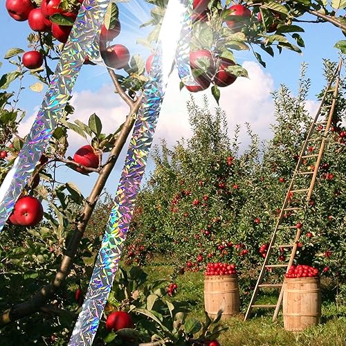 Miniatura 3 de 2 cintas de miedo de pájaros de 360 pies, cinta holográfica reflectante de Mylar para exteriores, mantiene a los pájaros lejos de la casa y el jardín