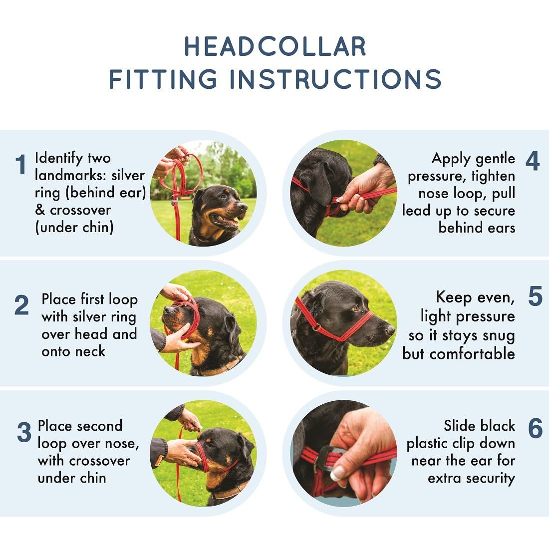 Gencon - Collar grande antitirones para perro, aprobado por entrenador, control suave y suave, práctica ayuda para el entrenamiento y el comportamiento del perro, mano derecha, fabricado en el Reino