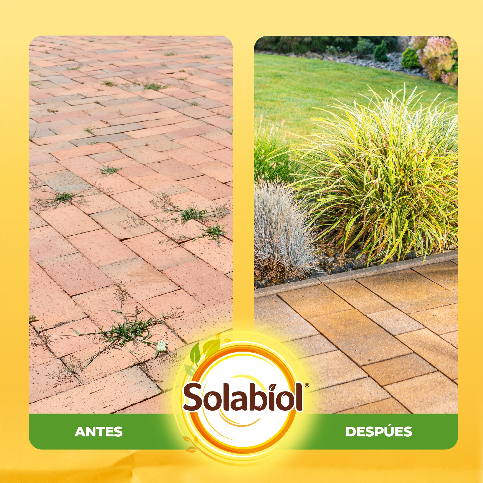 Solabiol, herbicida orgánico completo listo para usar, herbicida para malas hierbas y musgo con efecto desecante, ideal para calzadas y bordes, 3L