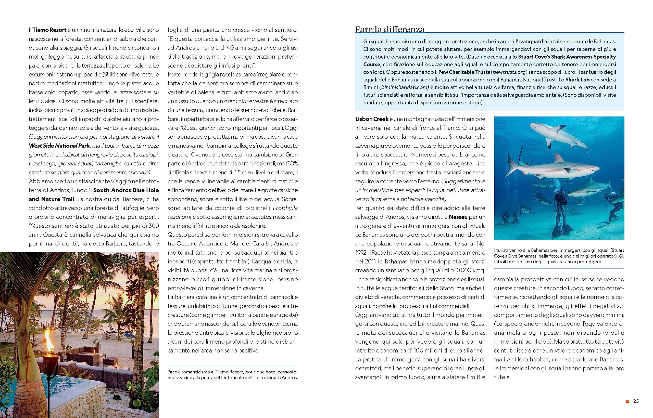 Guida completa per subacquei. Le migliori immersioni del mondo e incredibili esperienze sopra e sotto la superficie del mare. Ediz. a colori