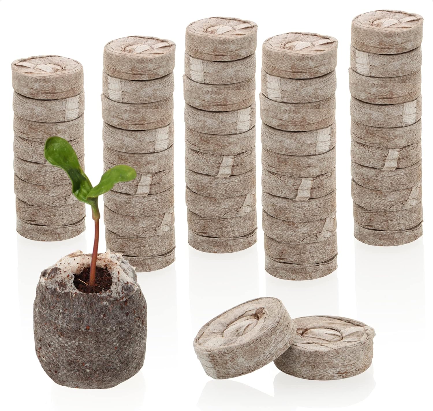 5 Mattoncini Di Fibra Di Cocco - Terriccio Biodegradabile Per Piante - Foto 4