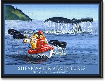 Shearwater Adventures Orcas Island Washington Kayakers Whale Tail Professionally Framed Giclee Archival Canvas Wall Art for Home & Office from Watercolor by Artist Dave Bartholet 18" x 24"
