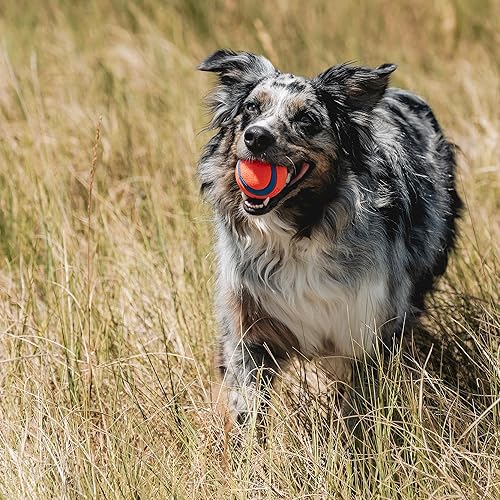 Vista 31 de CHUCKIT Pelota ultra chirriadora para perros pequeños, pequeña
