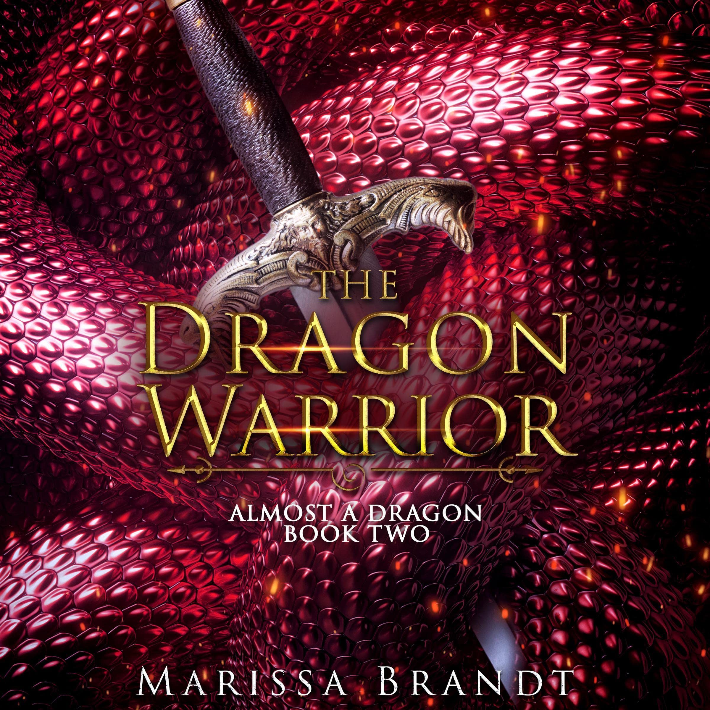 Cover art for The Dragon Warrior