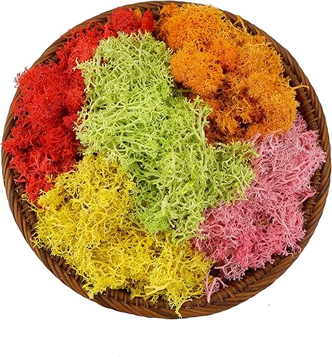 Samjobroad Musgo de reno preservado, musgo artificial de 5 colores para manualidades, decoración de musgo natural, 7 onzas, musgo para plantas en