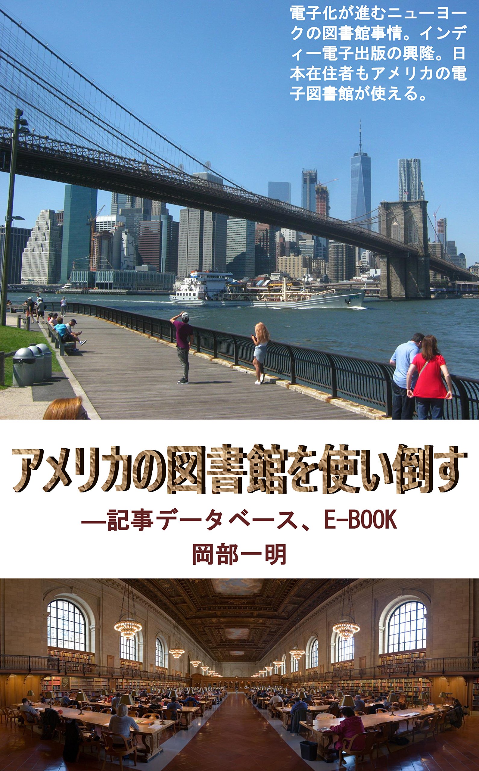 How to Use American Electronic Libraries: Databases and E-books (Japanese Edition)