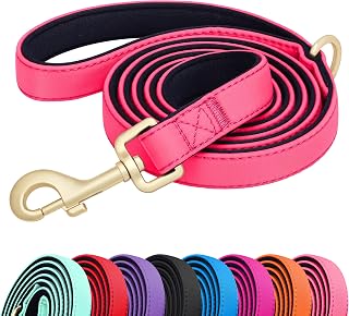 Didog Colorful Dog Leash for Small Dogs, 5FT Soft Padded Nylon, Pink S