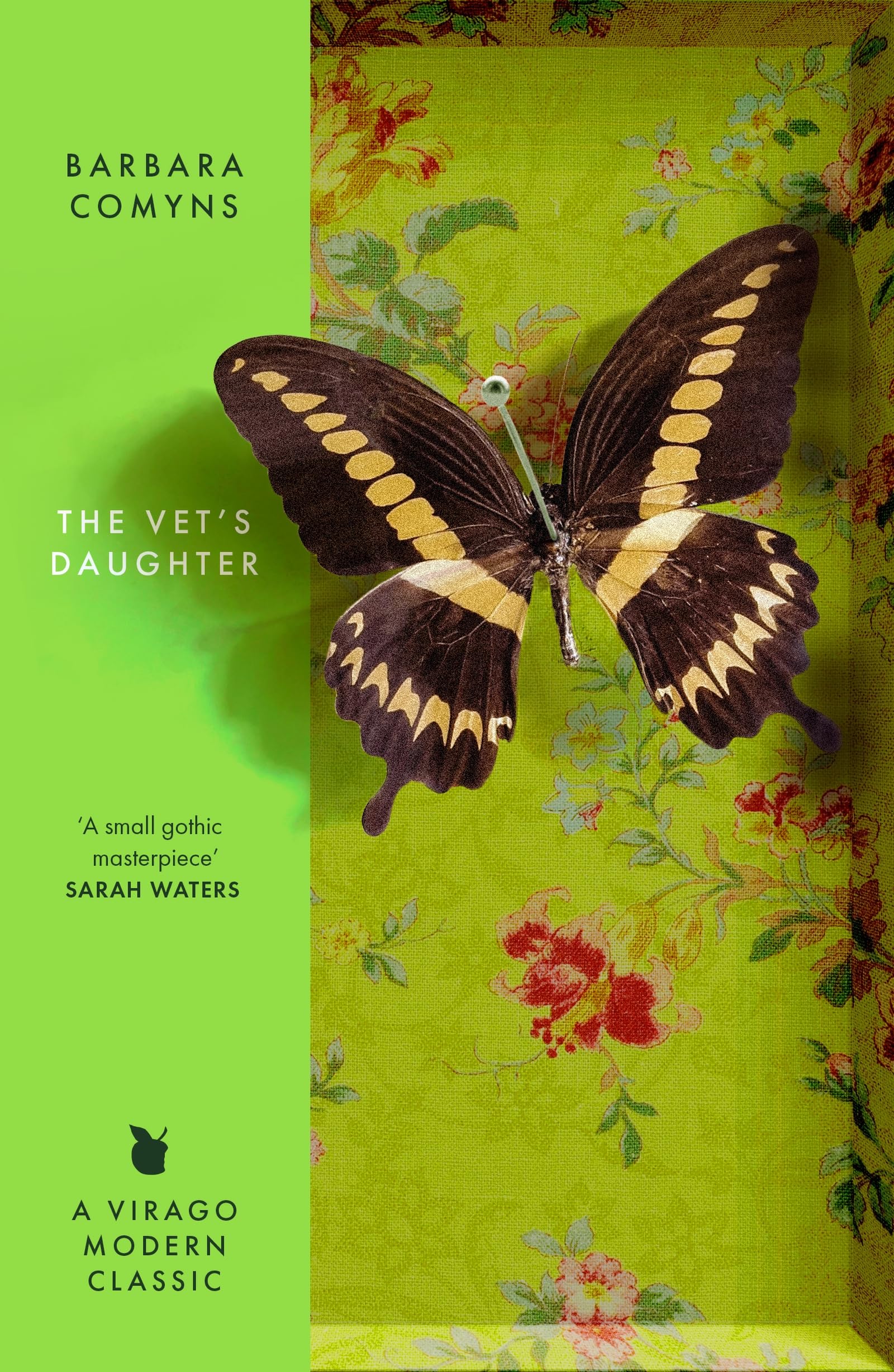 The Vet's Daughter: A Virago Modern Classic by Barbara Comyns