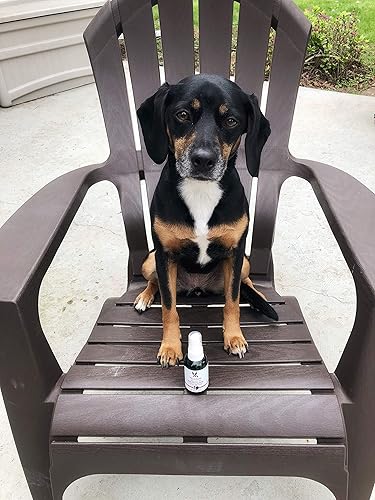 Miniatura 5 de Warren London Aceite esencial de primera calidad, espray calmante para perros, relaja y proporciona alivio antiansiedad para perros hiperactivos,