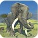 Clan of Elephants