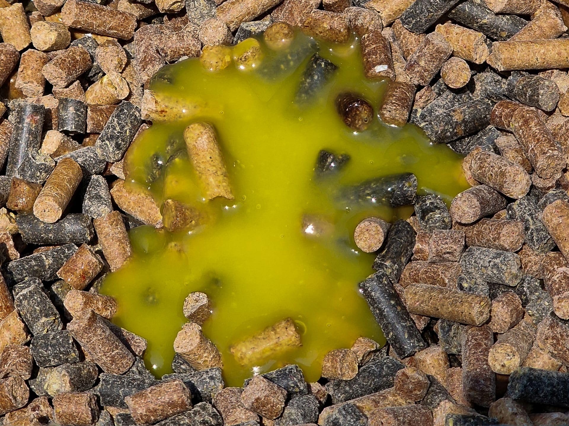 Carp Food Mix Pellet /10kg Fish