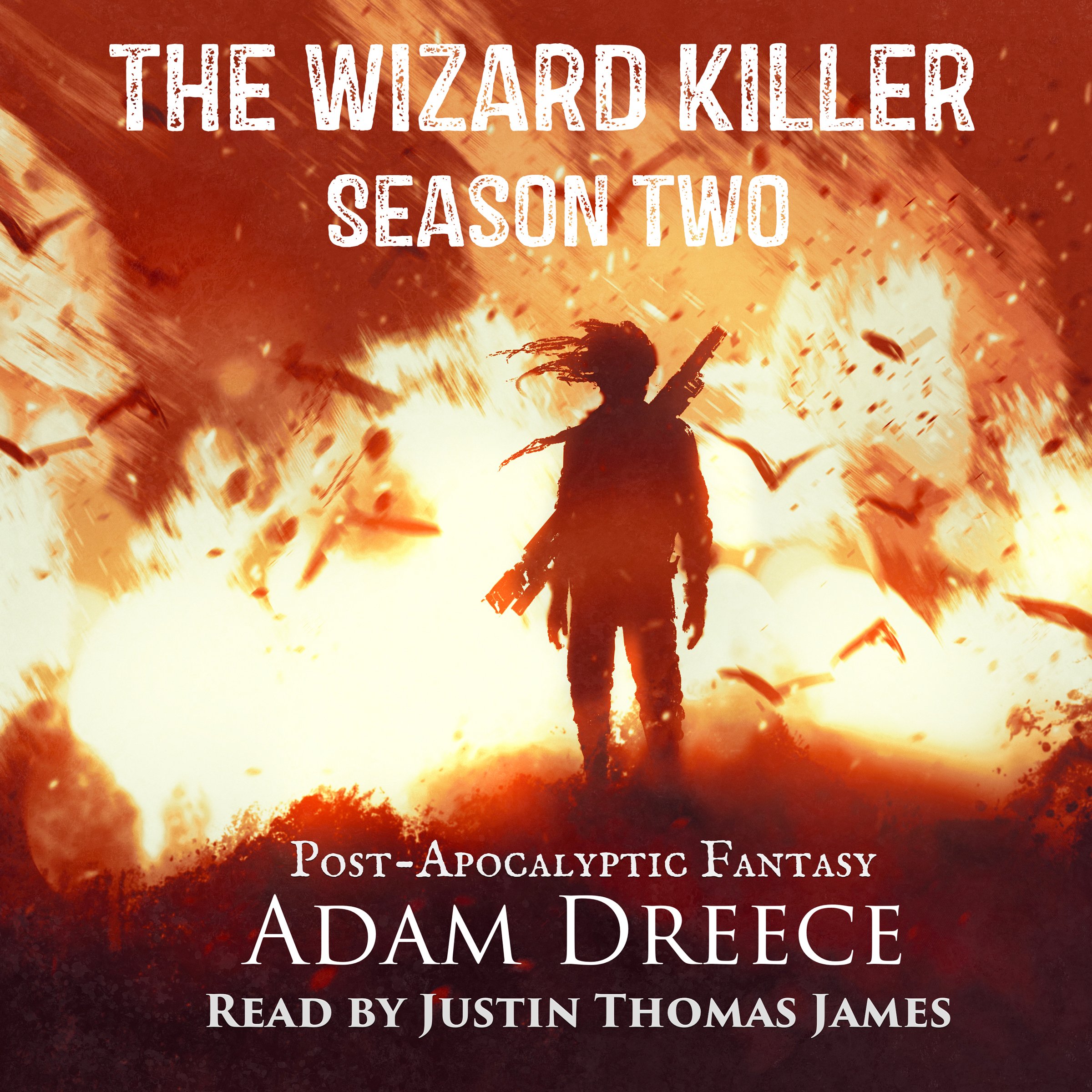 Cover art for The Wizard Killer: Season Two