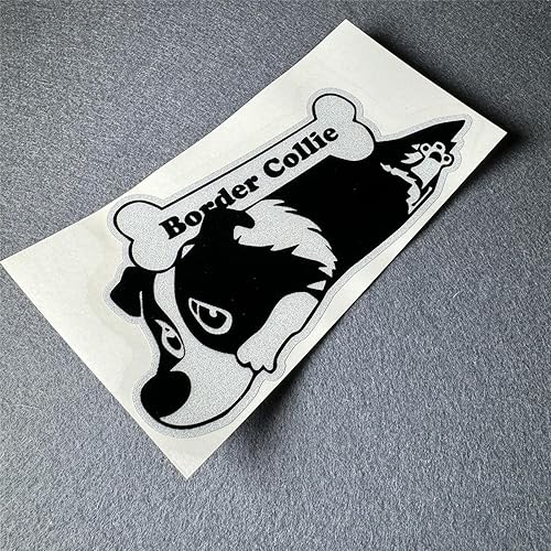 Pegatinas de coche para perros y mascotas para Border Collie Bones Snacks Cute Peeping Window Graphics 5.906x3.031 in