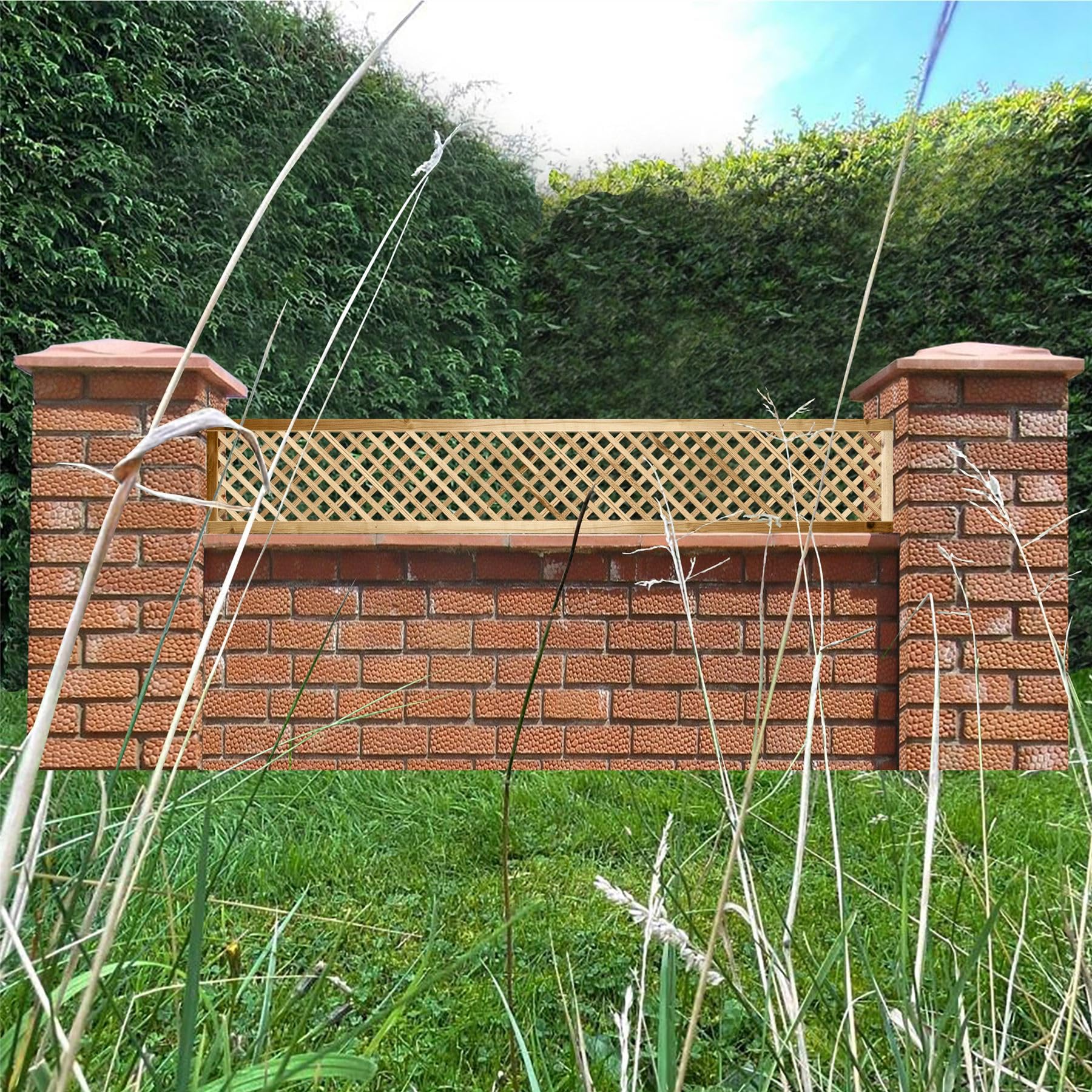 View 8