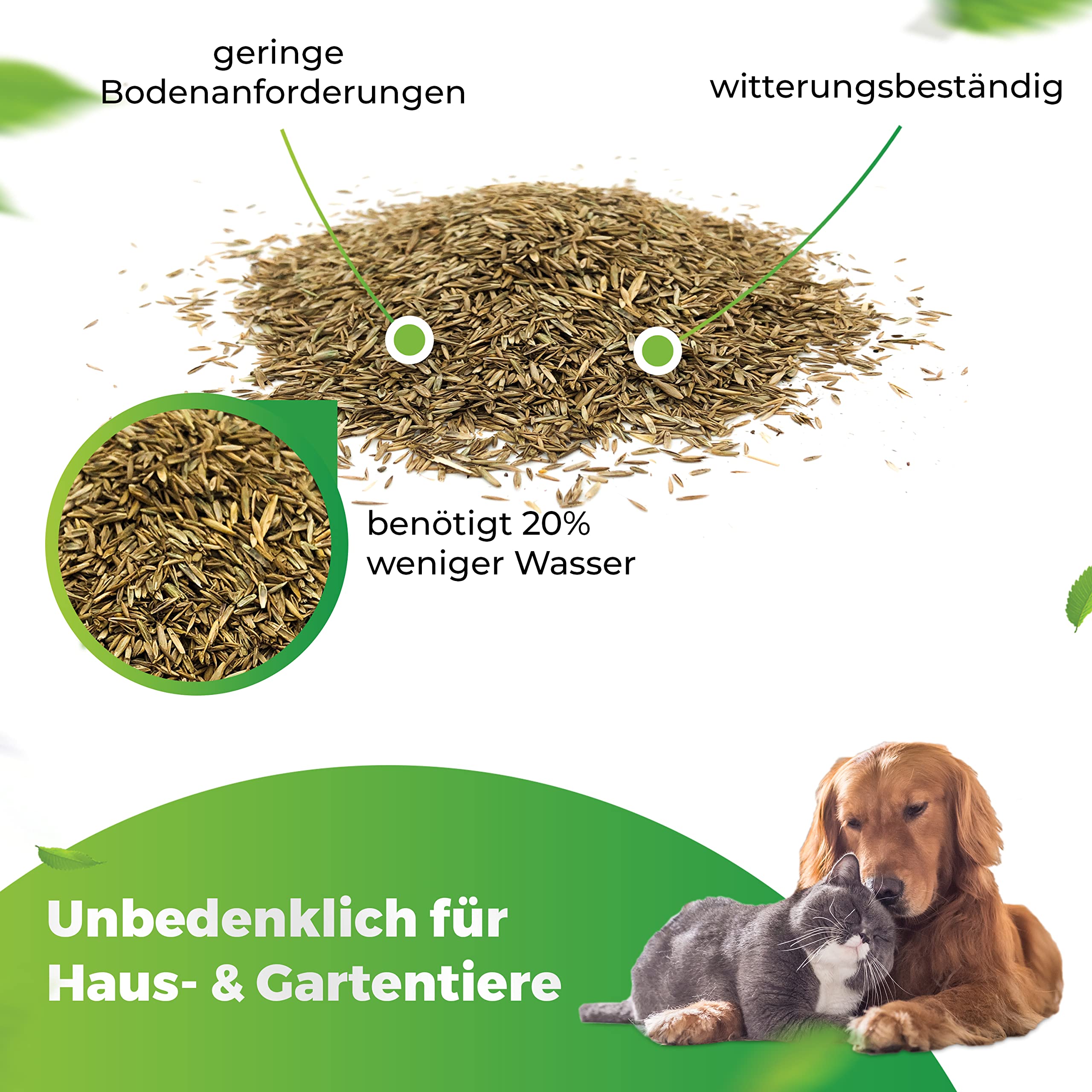 Greenyp® Sunny I dürreresistenter Trockenrasen I 5kg für 200m² I Grassamen Rasensamen Rasensaat Gras Nachsaat schnellkeimend