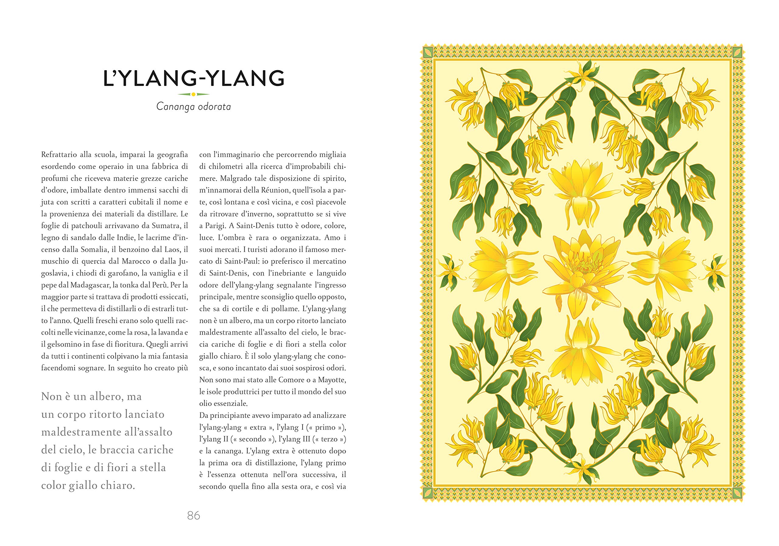 Atlante di botanica profumata