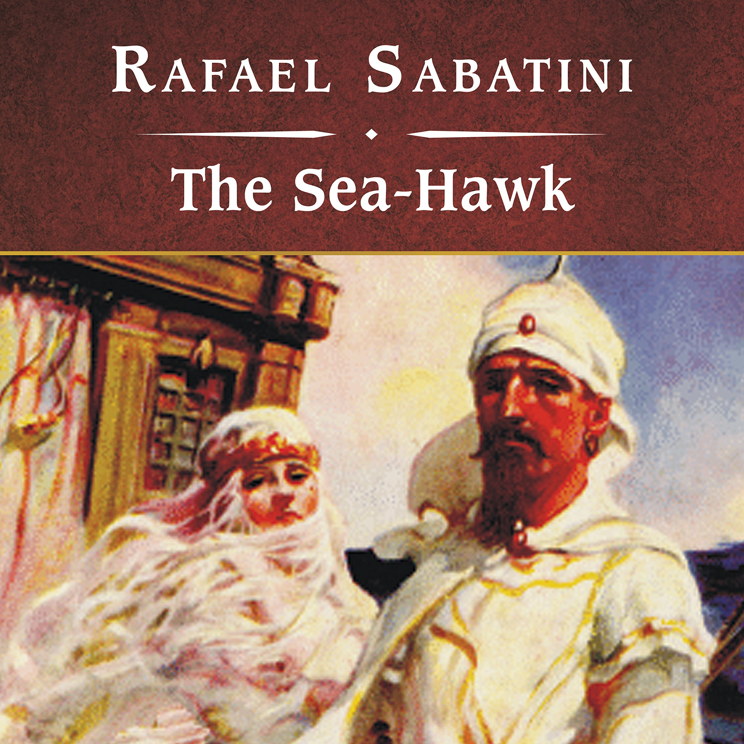 Cover art for The Sea-Hawk
