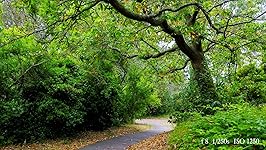 Review Image by Joseph C. Joseph C.