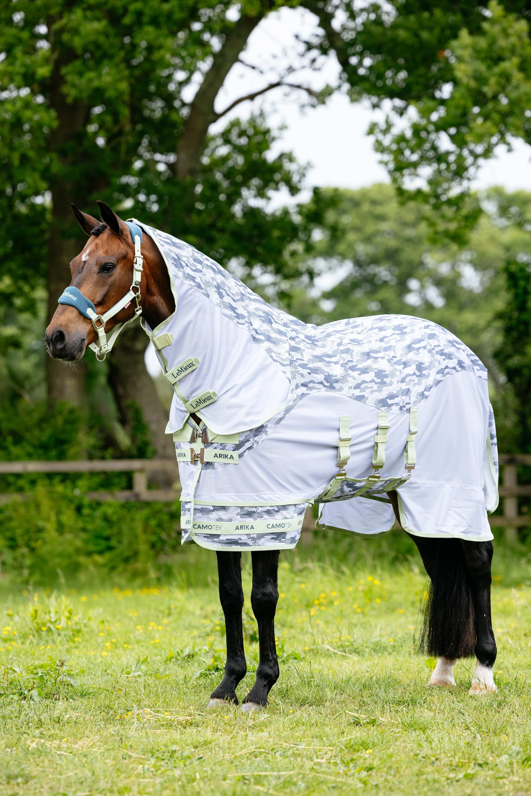 LeMieux Arika Camo-Tek Fly Rug - Alfombra de caballo ecuestre con moscas - Macaron - 6 pies 6 pulgadas