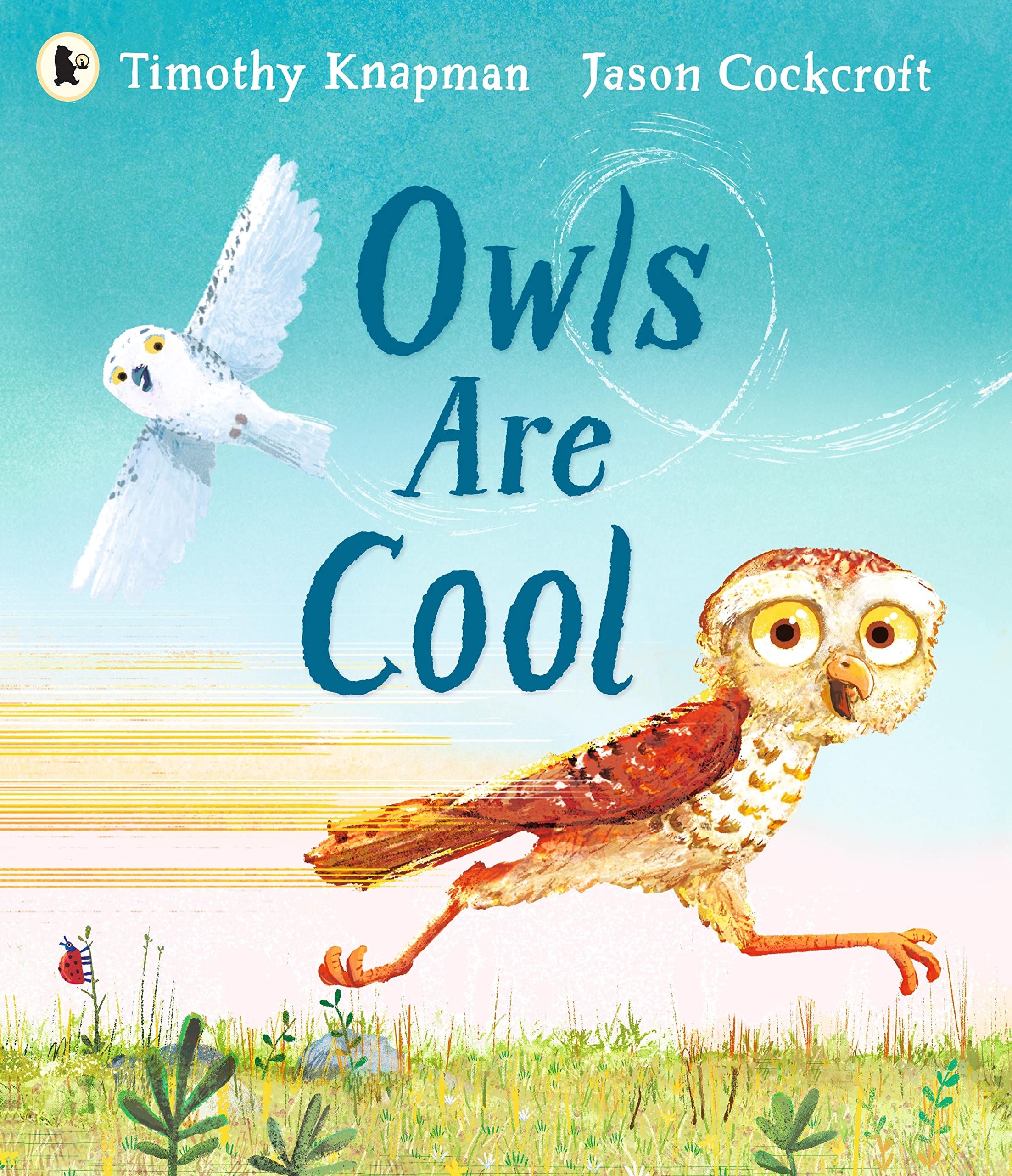 Owls Are Cool: The importance of celebrating our differences, for all little owls aged 3-7 who have ever felt left out