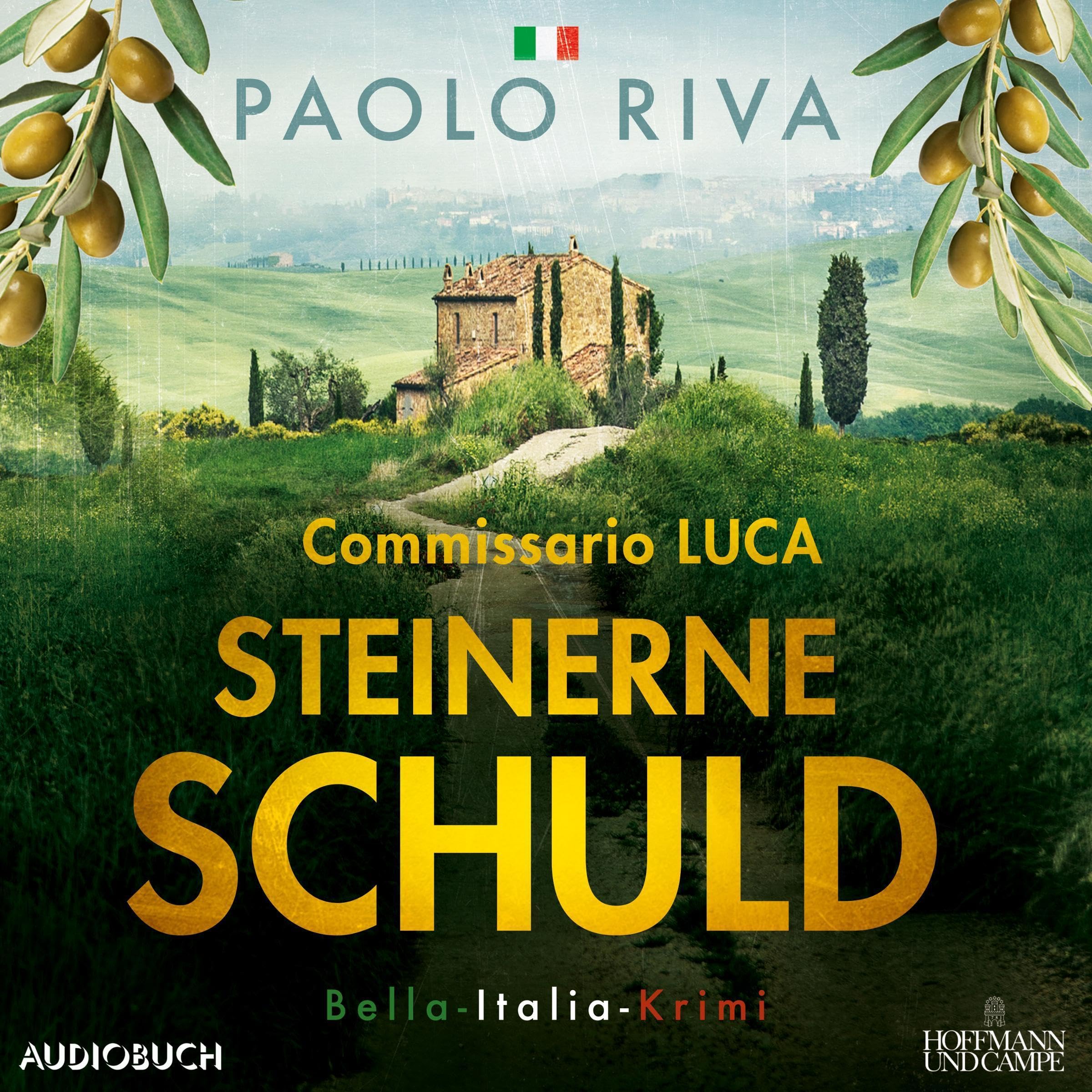 Cover art for Steinerne Schuld. Ein Fall für Commissario Luca