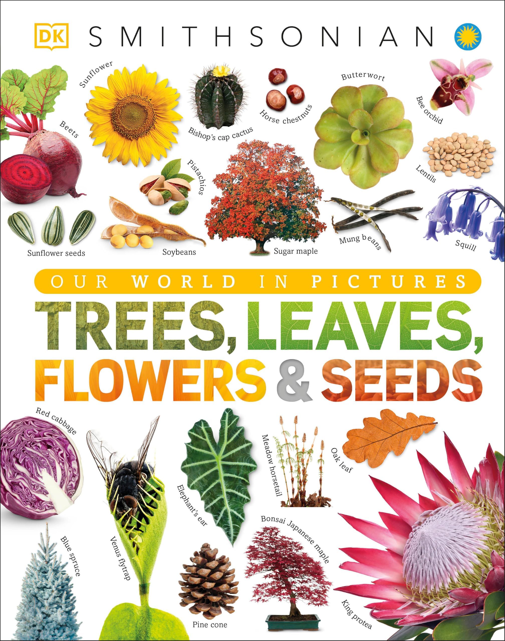 Trees, Leaves, Flowers & Seeds: A Visual Plant Encyclopedia for Kids (DK Our World in Pictures)