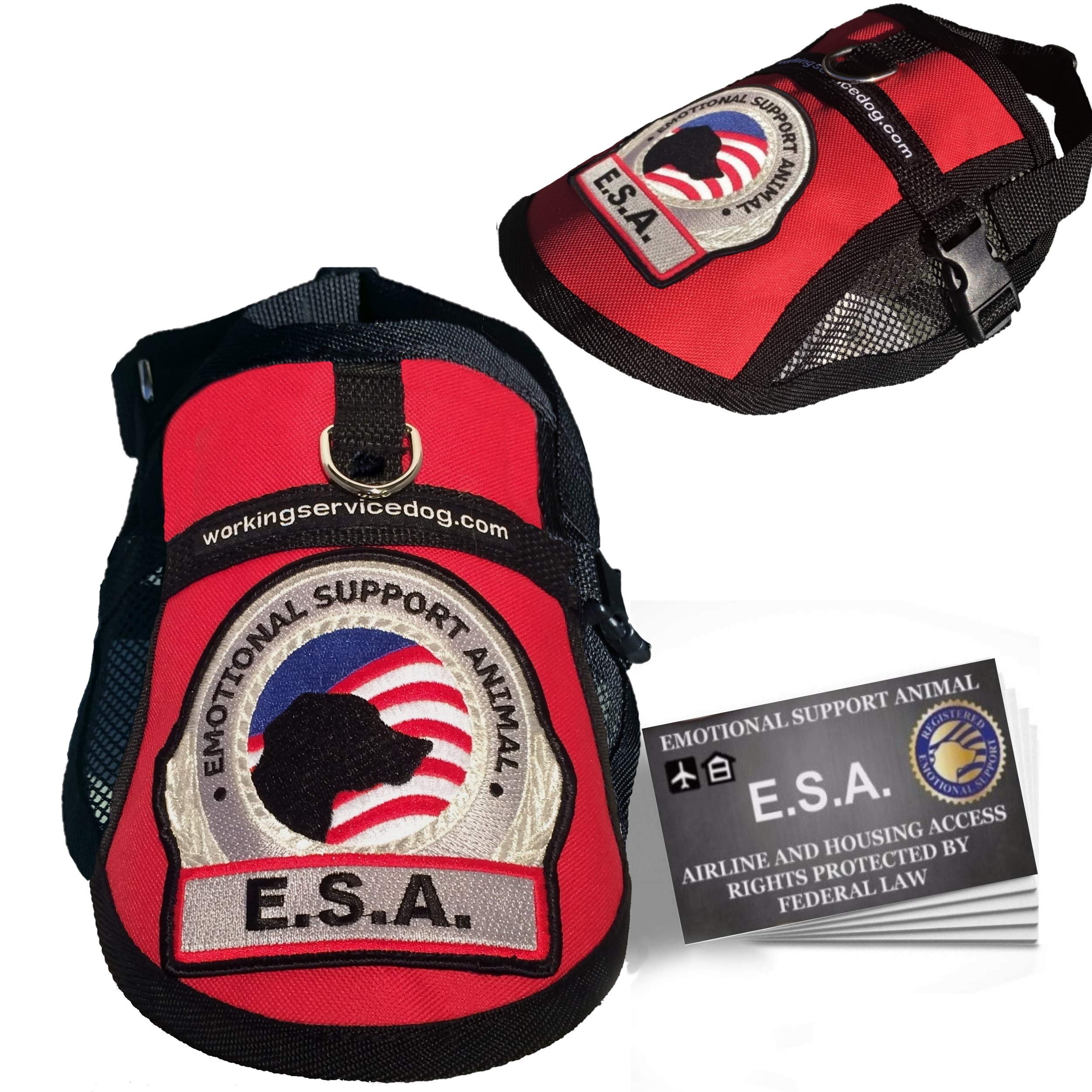 support dog vest amazon