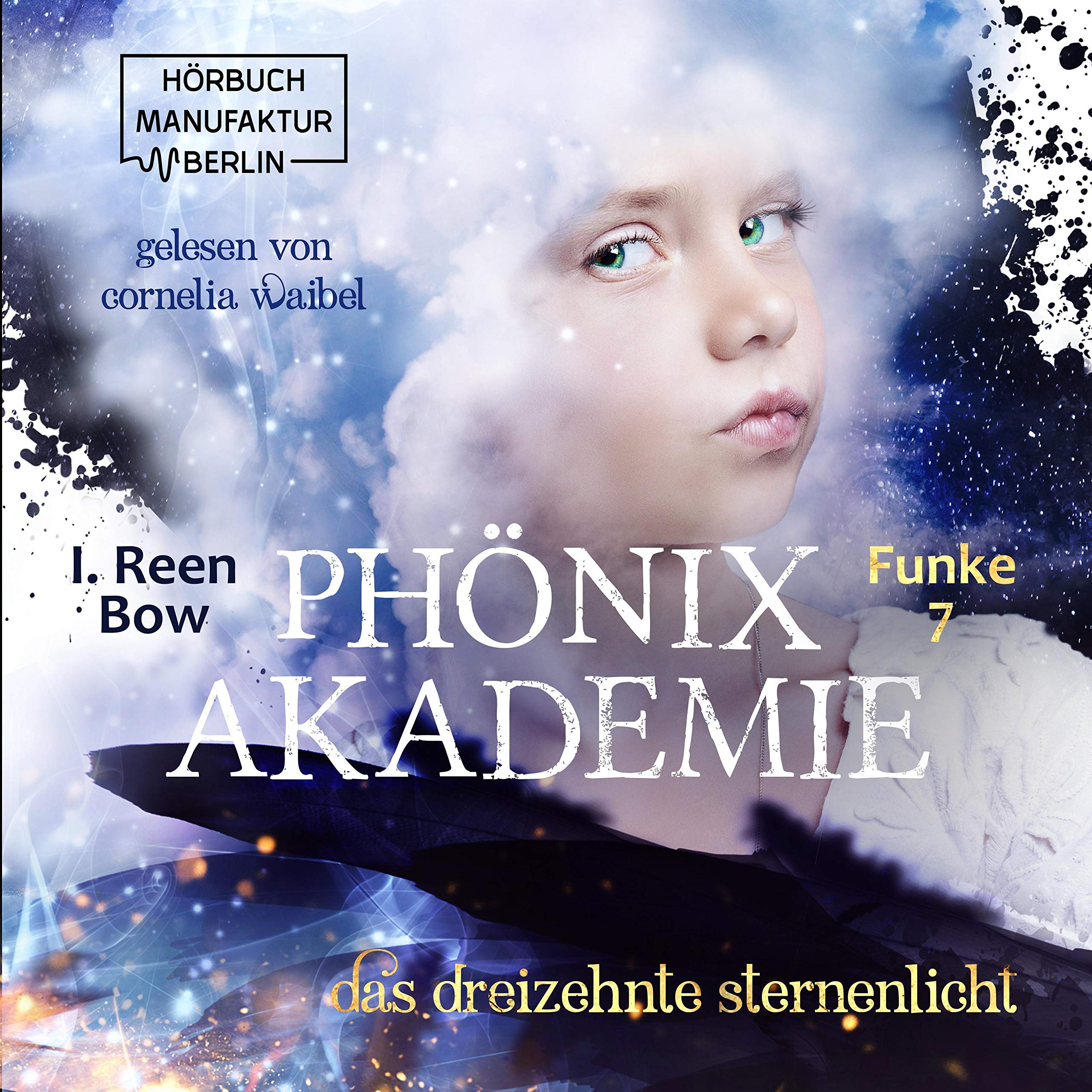 Cover art for Das dreizehnte Sternenlicht